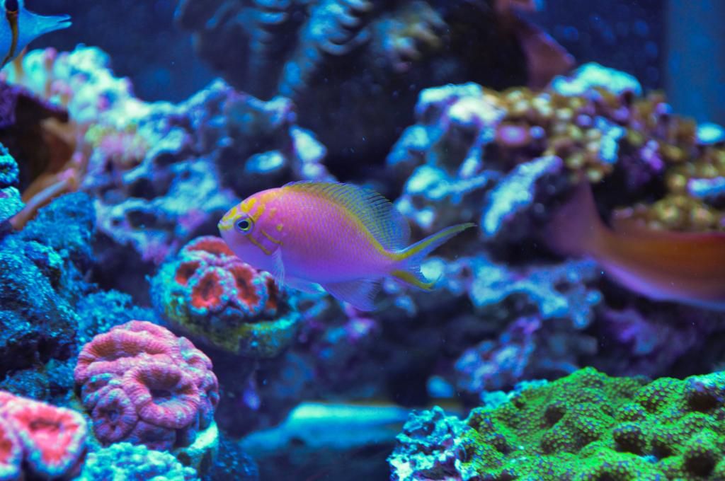 DSC_0182_zpsa532c055.jpg