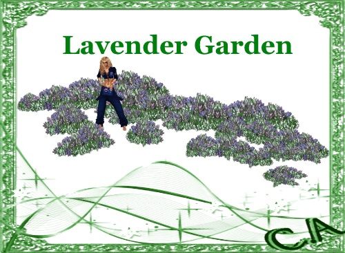  photo Lavender Garden web page pic_zpsxwlk3dad.jpg
