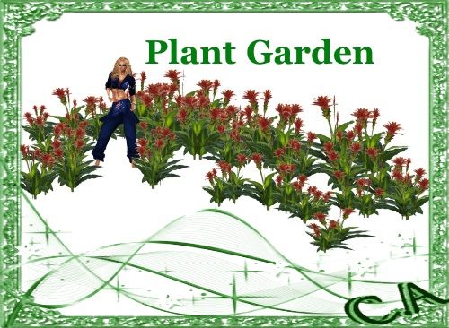 photo Plant Garden web page pic_zpsiqcyktlf.jpg