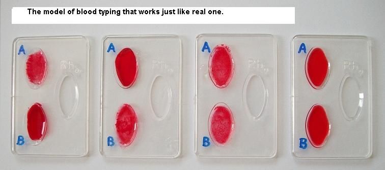 Blood Group Test Reagent 2