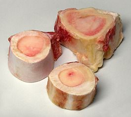 Bone Marrow 4