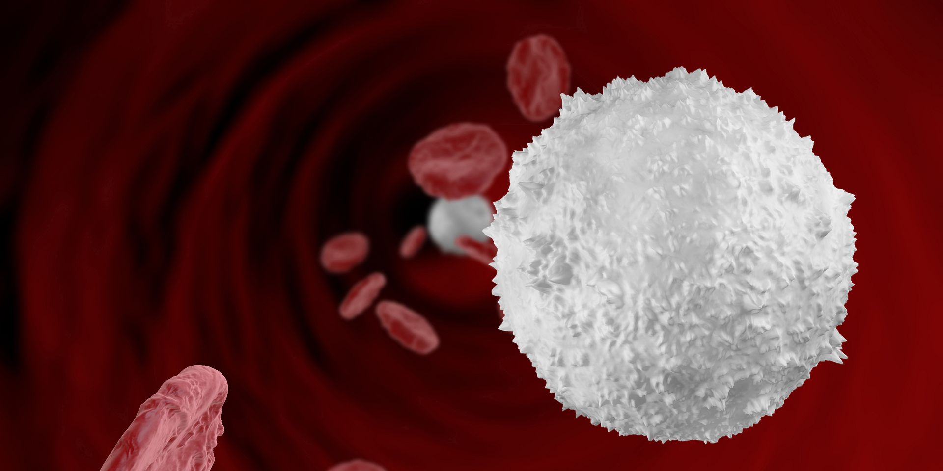 WBC Cell 12