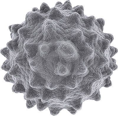 WBC Cell 2