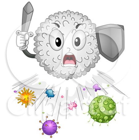 WBC Cell 6