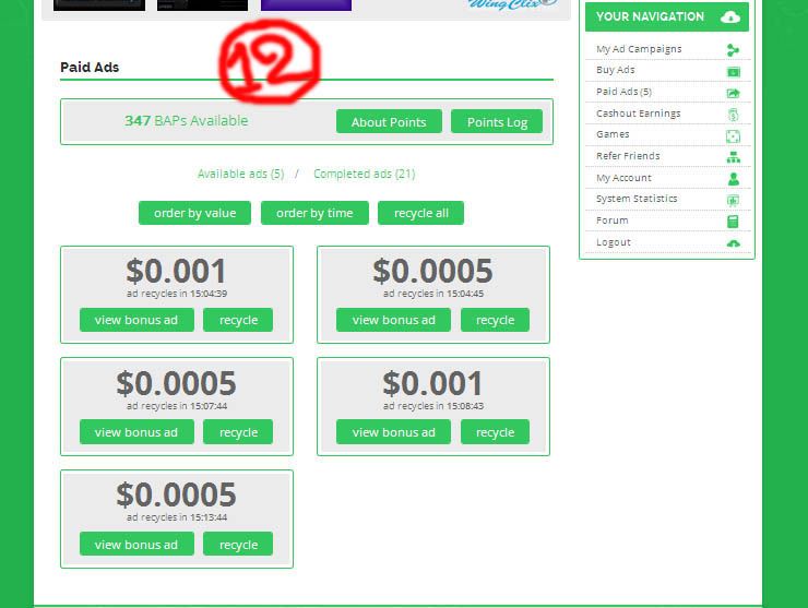 PaidVerts12