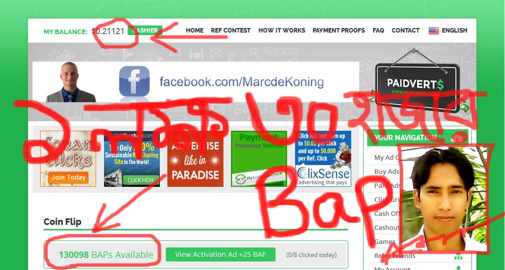 PaidVerts Earn 2