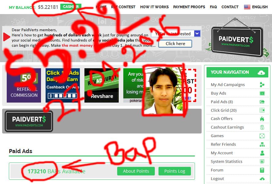 PaidVerts Earn 03