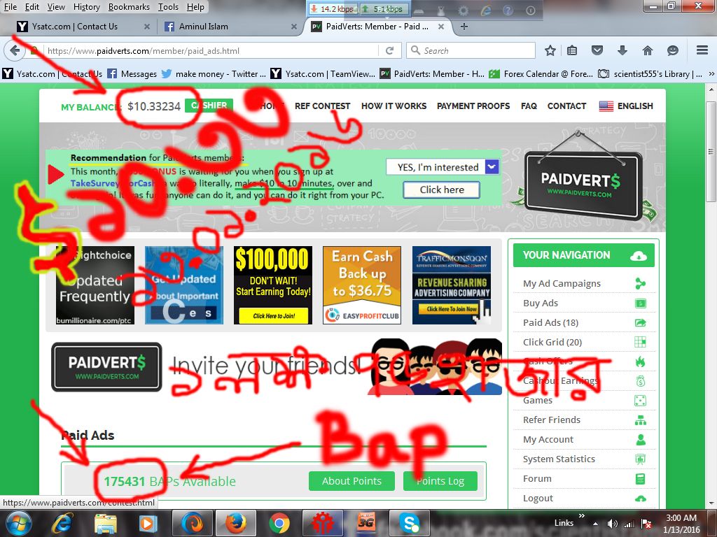 PaidVerts Earn 06