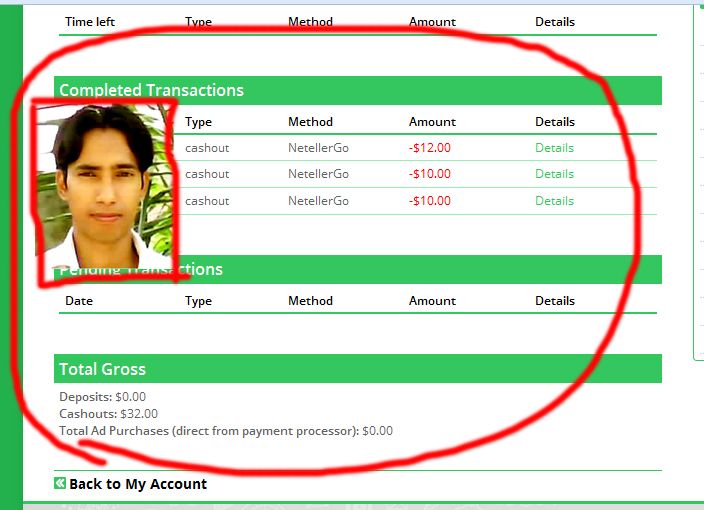 PaidVerts Earn 09