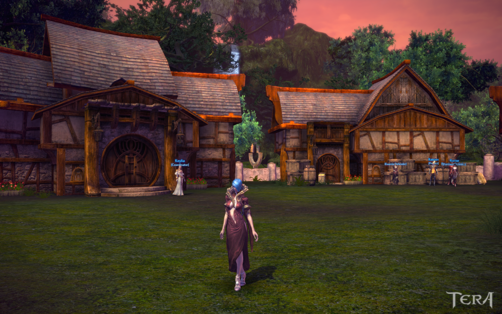 TERA_ScreenShot_20120511_212634.png