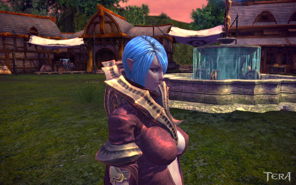 TERA_ScreenShot_20120511_212707.png