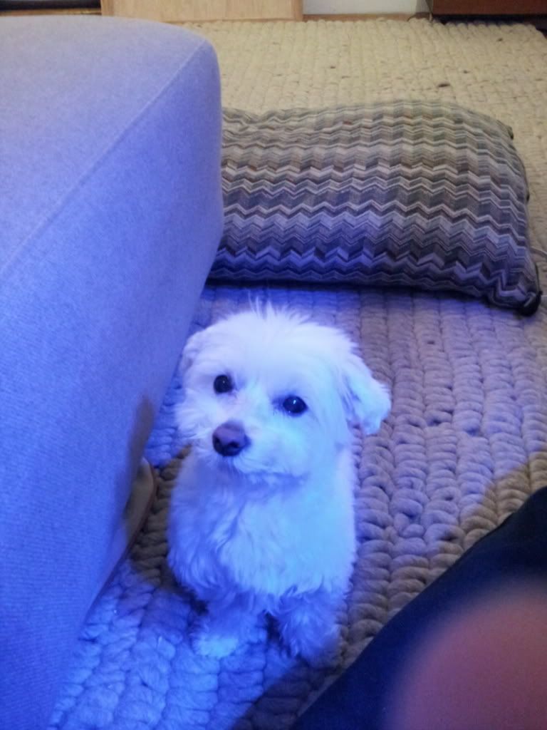 20120221_222404.jpg