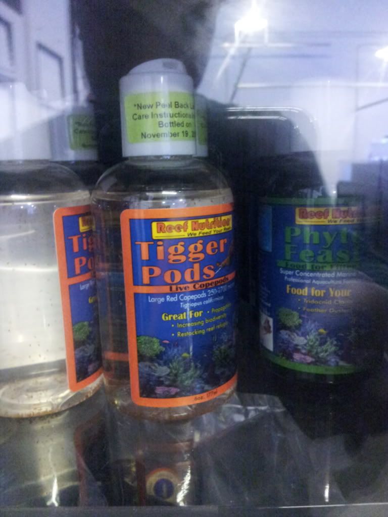 20121130_201941.jpg