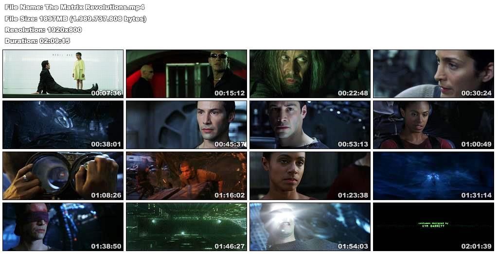 Matrix revolutions essay image