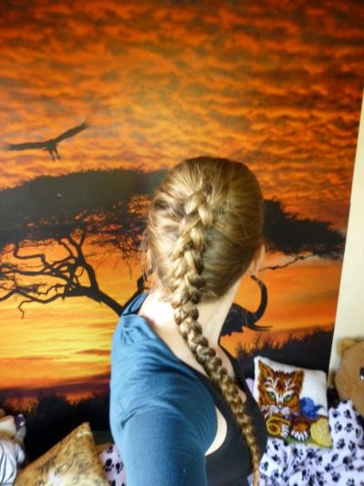 Bild