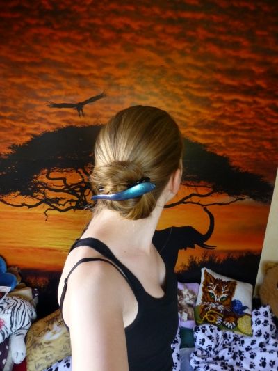 Bild