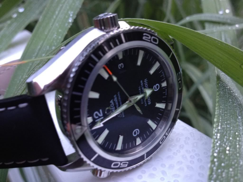 dive dynamics watch