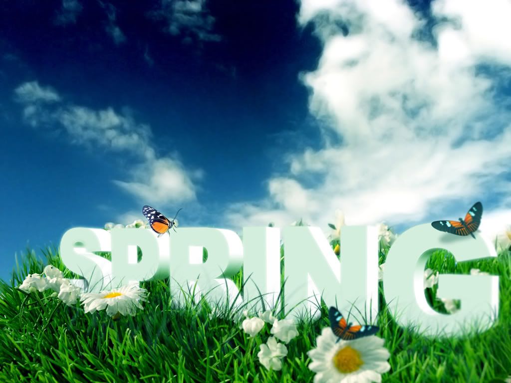 spring photo: Spring Spring.jpg
